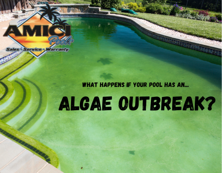 What happens if your pool has an algae outbreak?