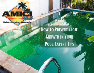 How to Prevent Algae Growth in Your Pool: Expert Tips